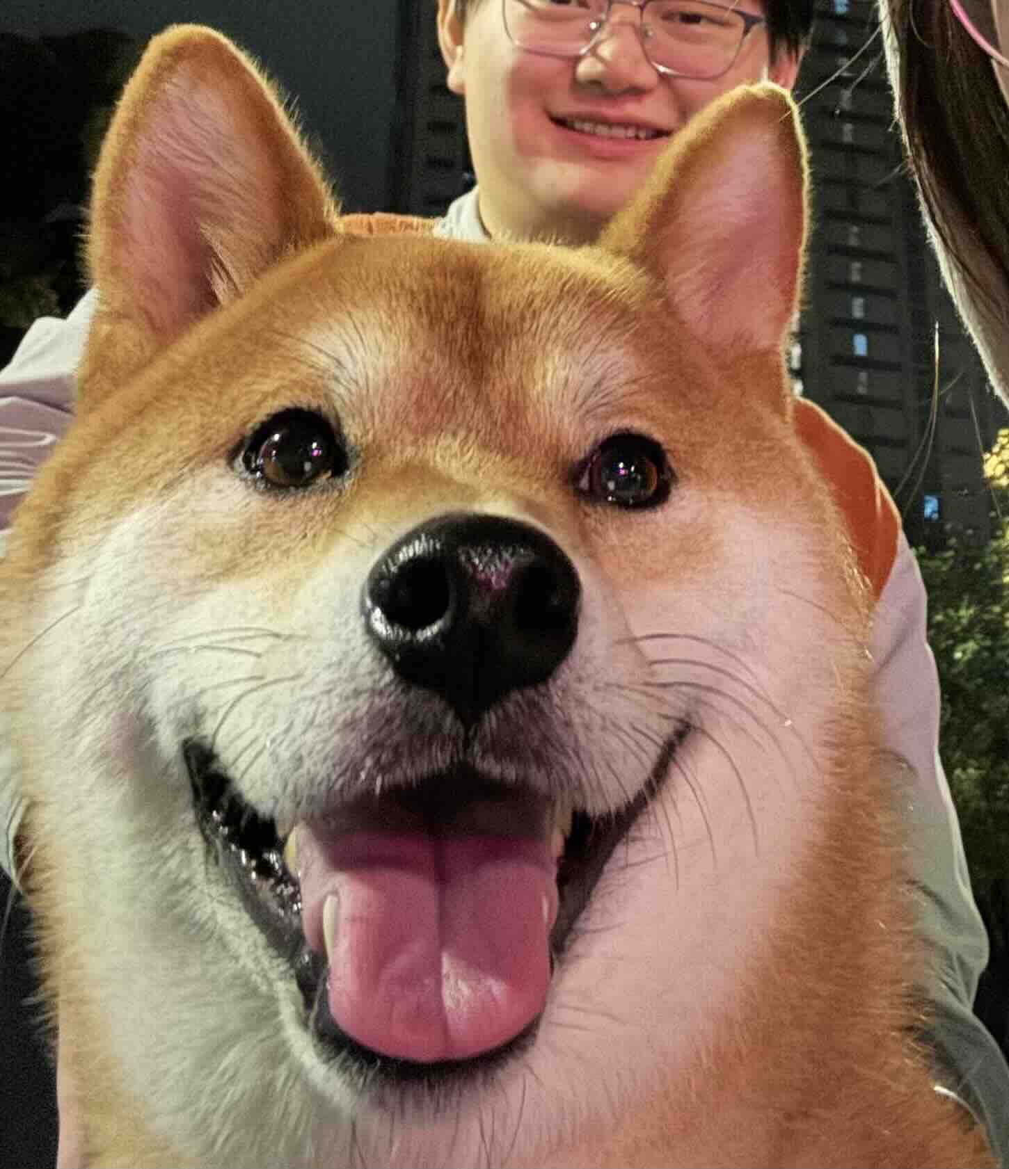 Pet